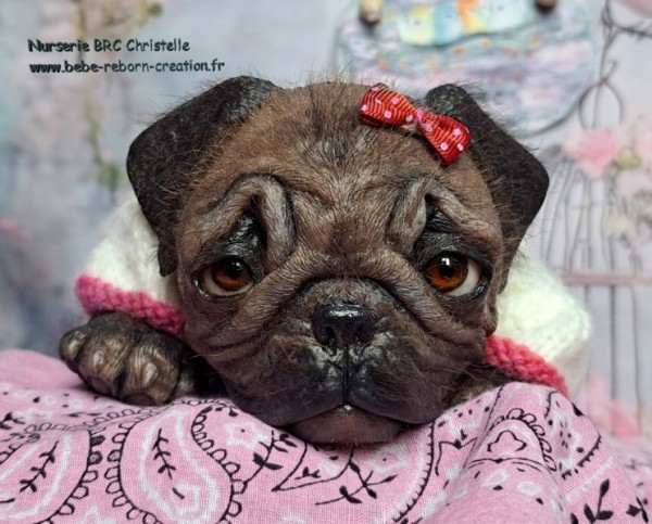 AA Monty simon Laurens (1)